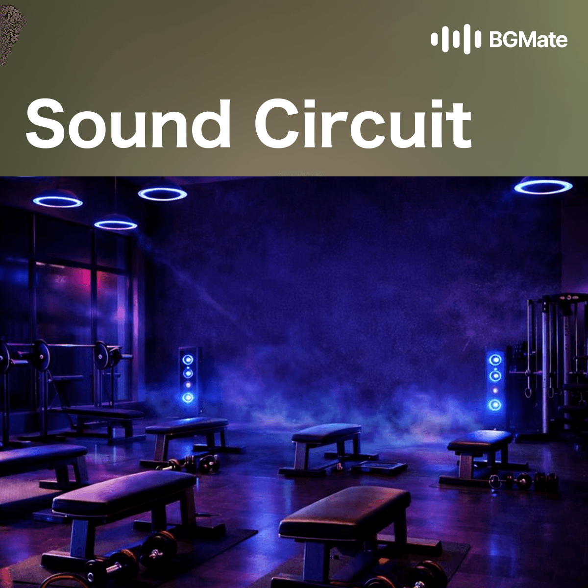 サウンド・サーキット / Sound Circuit